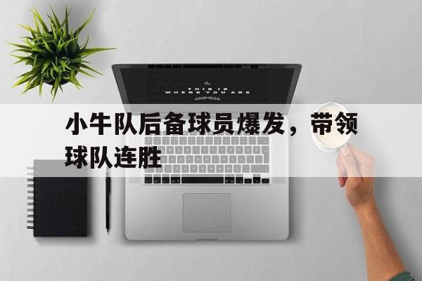 关于小牛队后备球员爆发，带领球队连胜的信息